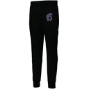 Men's PERFORMANCE FLEECE JOGGER